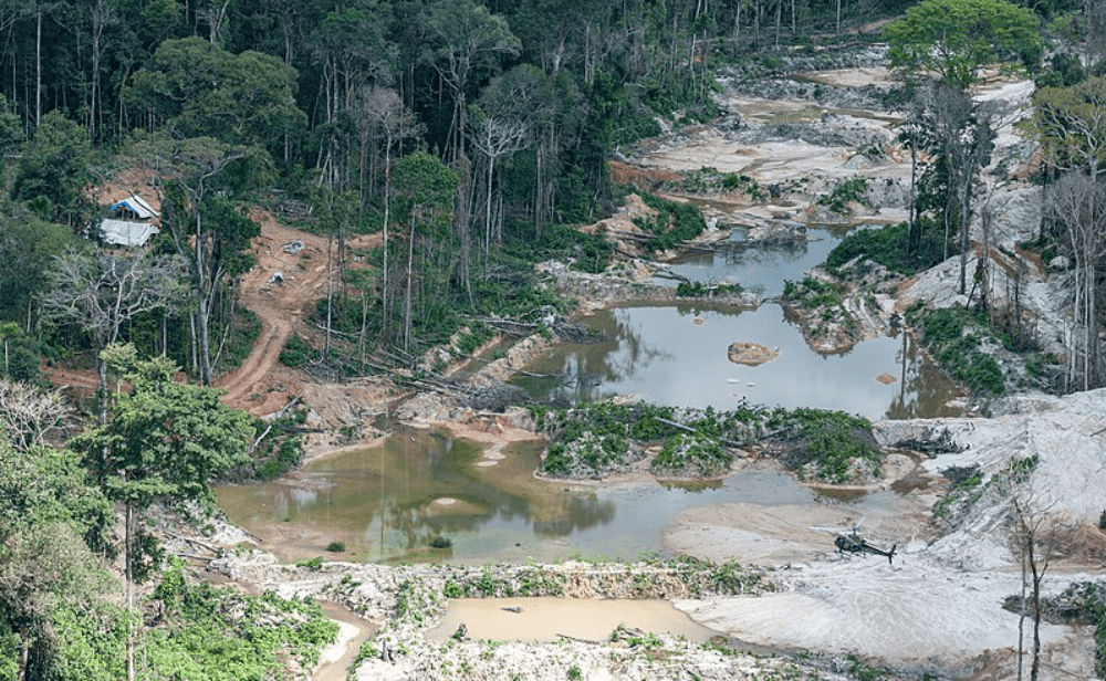 Mineração selvagemㅤㅤㅤㅤㅤㅤㅤㅤㅤ